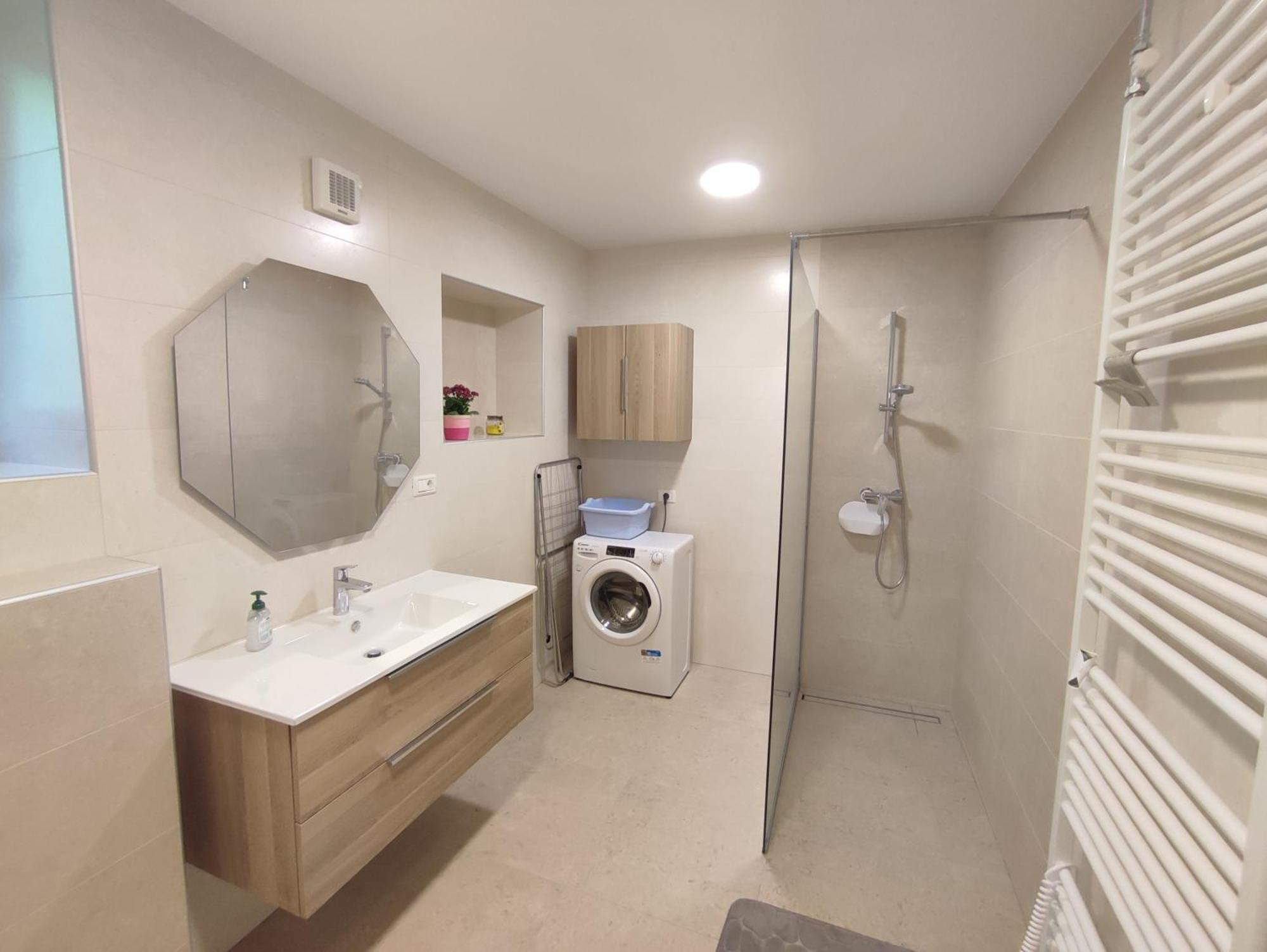 Apartma Moser Podnanos エクステリア 写真